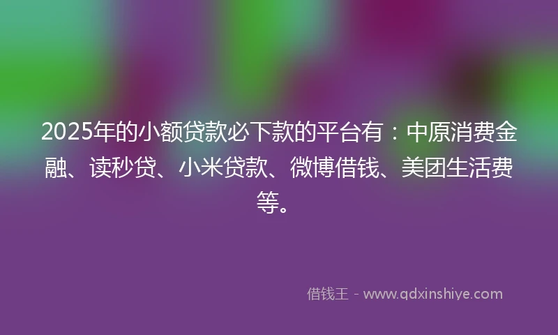 2025年的小额贷款必下款的平台有：中原消费金融、读秒贷、小米贷款、微博借钱、美团生活费等。