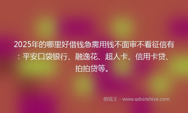 2025年的哪里好借钱急需用钱不面审不看征信有：平安口袋银行、融逸花、超人卡、信用卡贷、拍拍贷等。