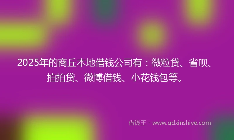 2025年的商丘本地借钱公司有：微粒贷、省呗、拍拍贷、微博借钱、小花钱包等。