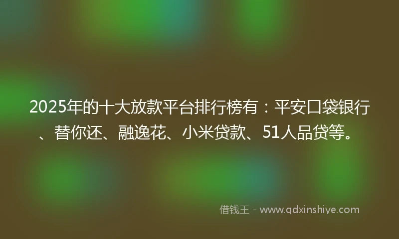 2025年的十大放款平台排行榜有：平安口袋银行、替你还、融逸花、小米贷款、51人品贷等。
