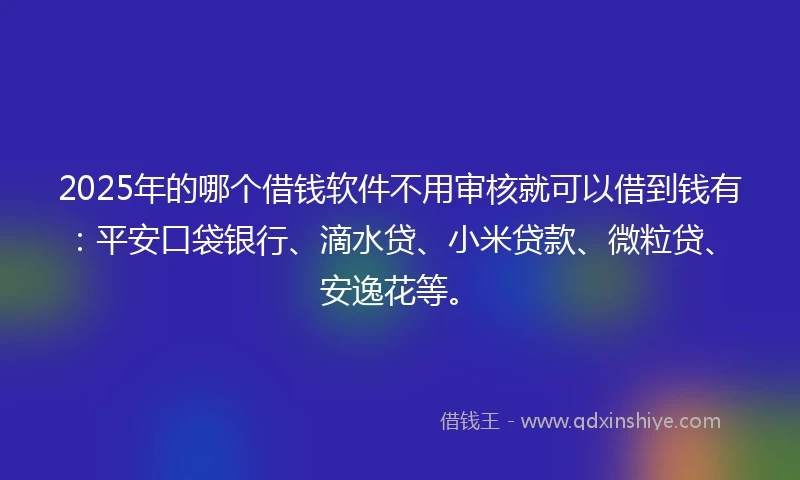 2025年的哪个借钱软件不用审核就可以借到钱有：平安口袋银行、滴水贷、小米贷款、微粒贷、安逸花等。