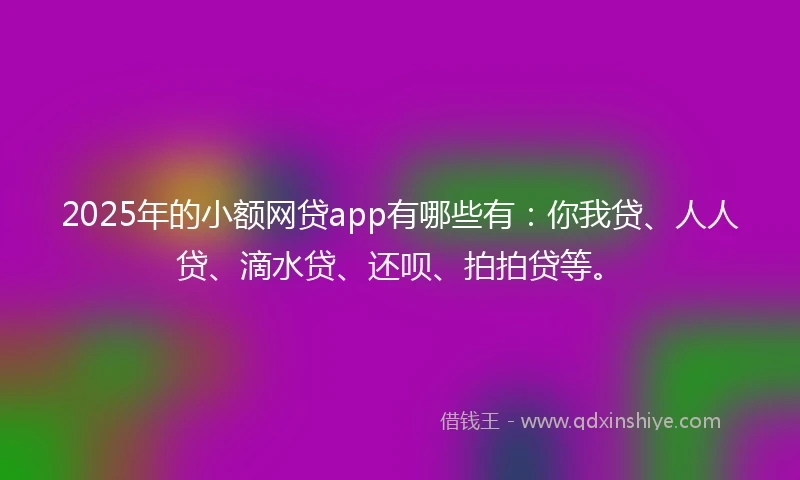 2025年的小额网贷app有哪些有：你我贷、人人贷、滴水贷、还呗、拍拍贷等。