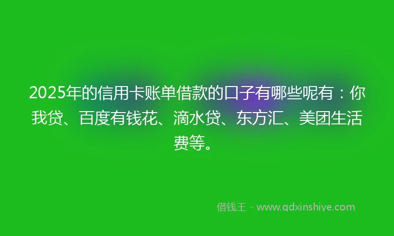 2025年的信用卡账单借款的口子有哪些呢有：你我贷、百度有钱花、滴水贷、东方汇、美团生活费等。