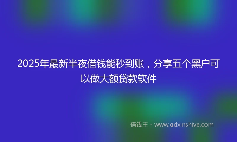 2025年最新半夜借钱能秒到账，分享五个黑户可以做大额贷款软件