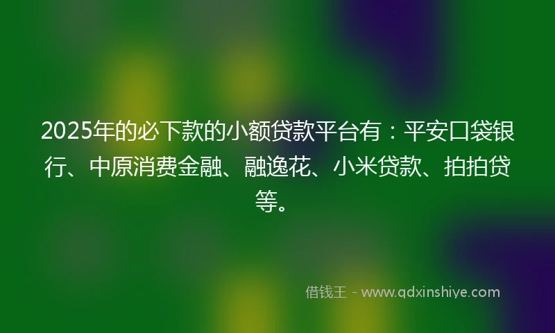 2025年的必下款的小额贷款平台有：平安口袋银行、中原消费金融、融逸花、小米贷款、拍拍贷等。