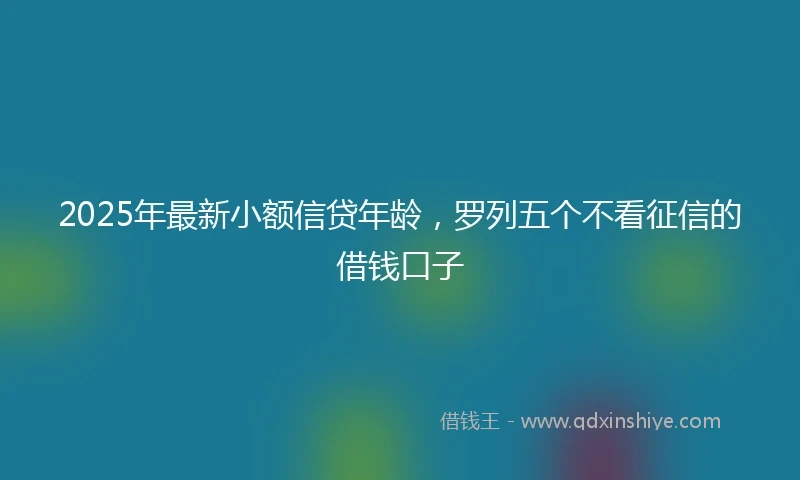 2025年最新小额信贷年龄，罗列五个不看征信的借钱口子