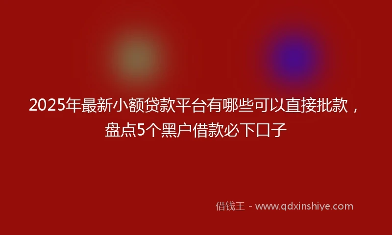 2025年最新小额贷款平台有哪些可以直接批款，盘点5个黑户借款必下口子