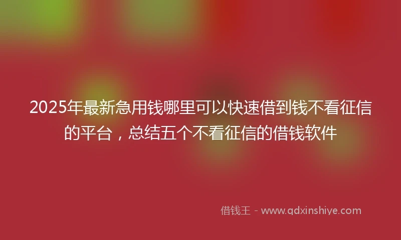 2025年最新急用钱哪里可以快速借到钱不看征信的平台，总结五个不看征信的借钱软件