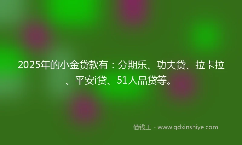 2025年的小金贷款有：分期乐、功夫贷、拉卡拉、平安i贷、51人品贷等。