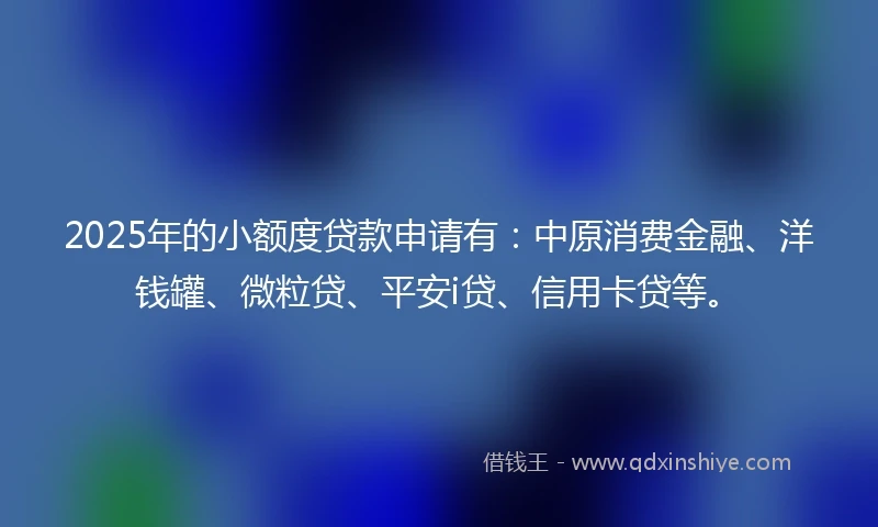 2025年的小额度贷款申请有：中原消费金融、洋钱罐、微粒贷、平安i贷、信用卡贷等。