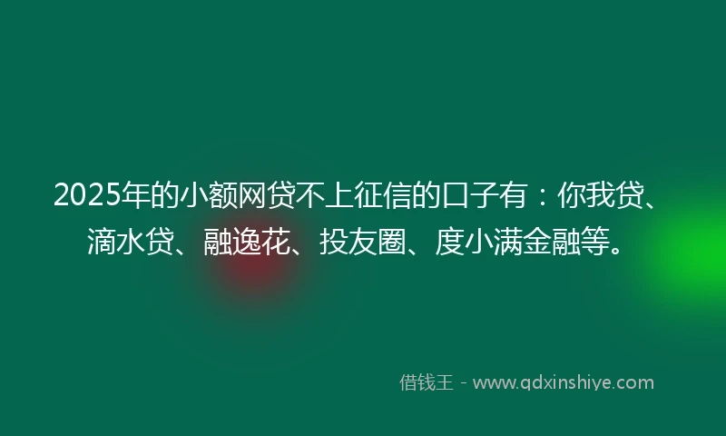 2025年的小额网贷不上征信的口子有：你我贷、滴水贷、融逸花、投友圈、度小满金融等。
