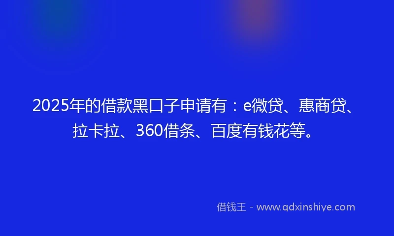 2025年的借款黑口子申请有：e微贷、惠商贷、拉卡拉、360借条、百度有钱花等。