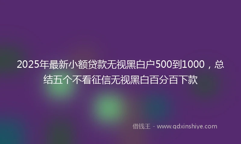 2025年最新小额贷款无视黑白户500到1000，总结五个不看征信无视黑白百分百下款