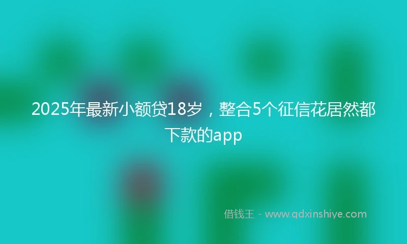 2025年最新小额贷18岁，整合5个征信花居然都下款的app