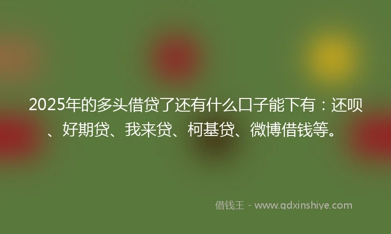 2025年的多头借贷了还有什么口子能下有：还呗、好期贷、我来贷、柯基贷、微博借钱等。