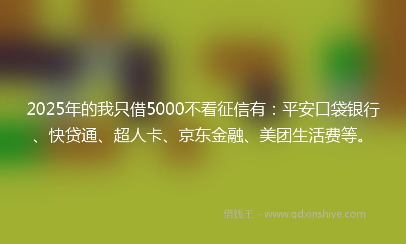2025年的我只借5000不看征信有：平安口袋银行、快贷通、超人卡、京东金融、美团生活费等。