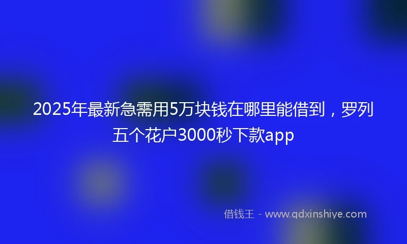 2025年最新急需用5万块钱在哪里能借到，罗列五个花户3000秒下款app