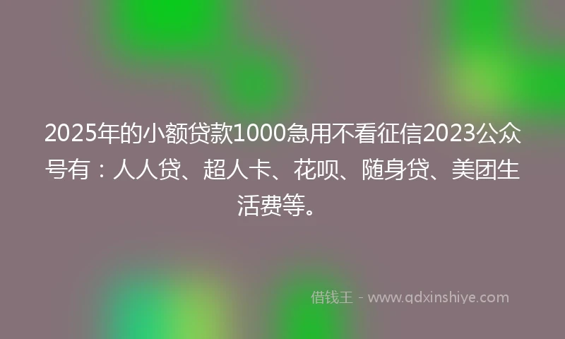 2025年的小额贷款1000急用不看征信2023公众号有：人人贷、超人卡、花呗、随身贷、美团生活费等。