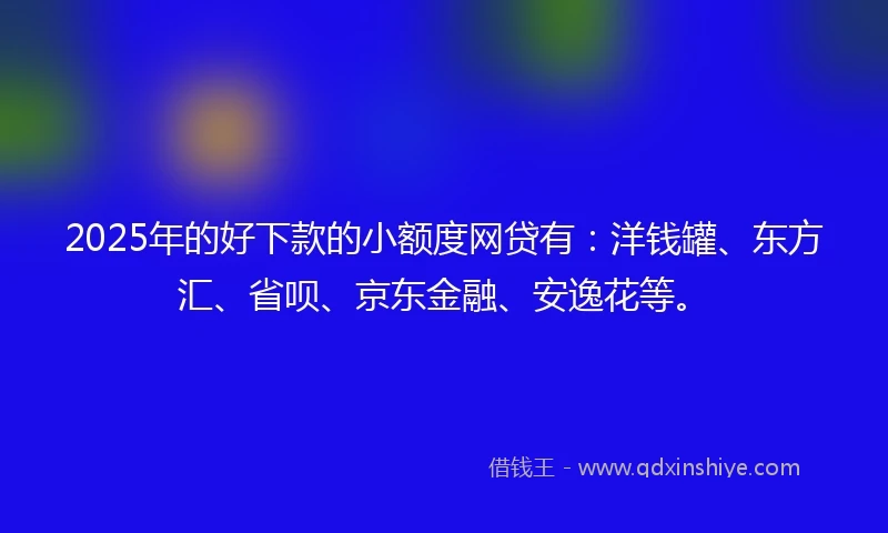 2025年的好下款的小额度网贷有：洋钱罐、东方汇、省呗、京东金融、安逸花等。