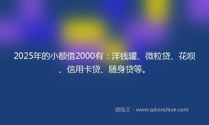 2025年的小额借2000有：洋钱罐、微粒贷、花呗、信用卡贷、随身贷等。