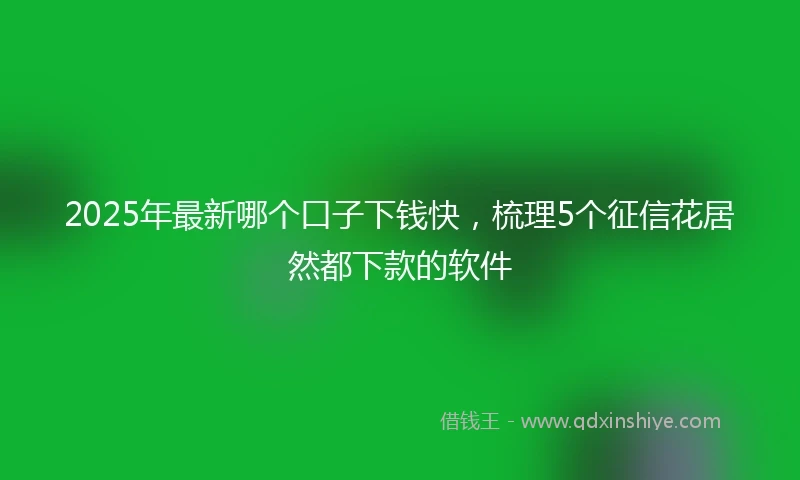 2025年最新哪个口子下钱快，梳理5个征信花居然都下款的软件