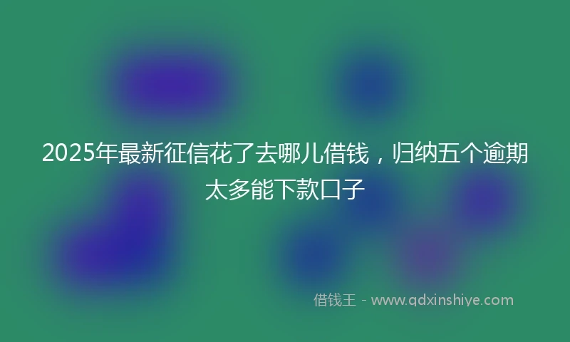 2025年最新征信花了去哪儿借钱，归纳五个逾期太多能下款口子