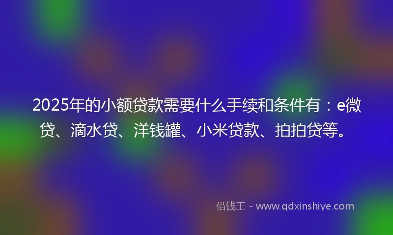 2025年的小额贷款需要什么手续和条件有：e微贷、滴水贷、洋钱罐、小米贷款、拍拍贷等。