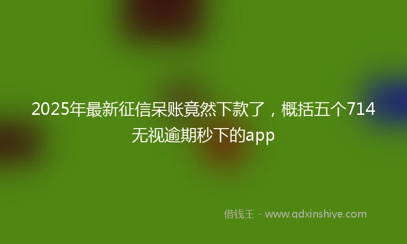 2025年最新征信呆账竟然下款了，概括五个714无视逾期秒下的app