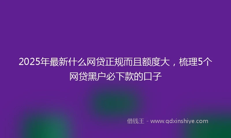 2025年最新什么网贷正规而且额度大，梳理5个网贷黑户必下款的口子