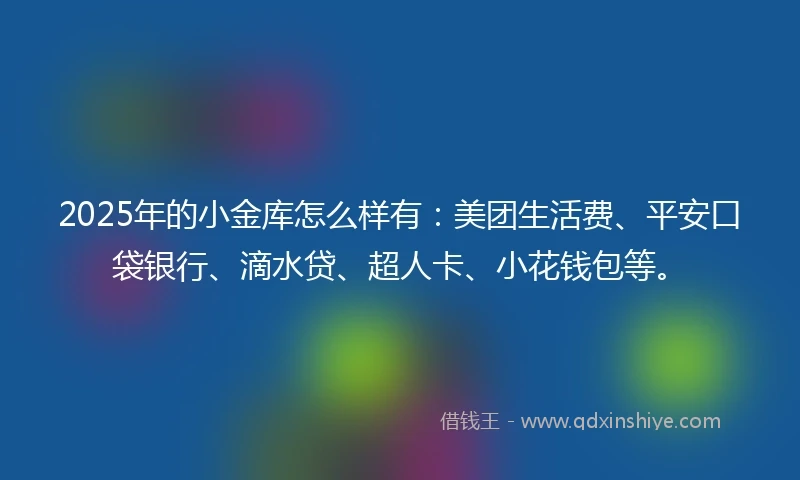 2025年的小金库怎么样有：美团生活费、平安口袋银行、滴水贷、超人卡、小花钱包等。