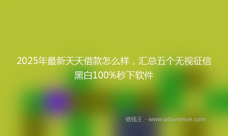 2025年最新天天借款怎么样，汇总五个无视征信黑白100%秒下软件