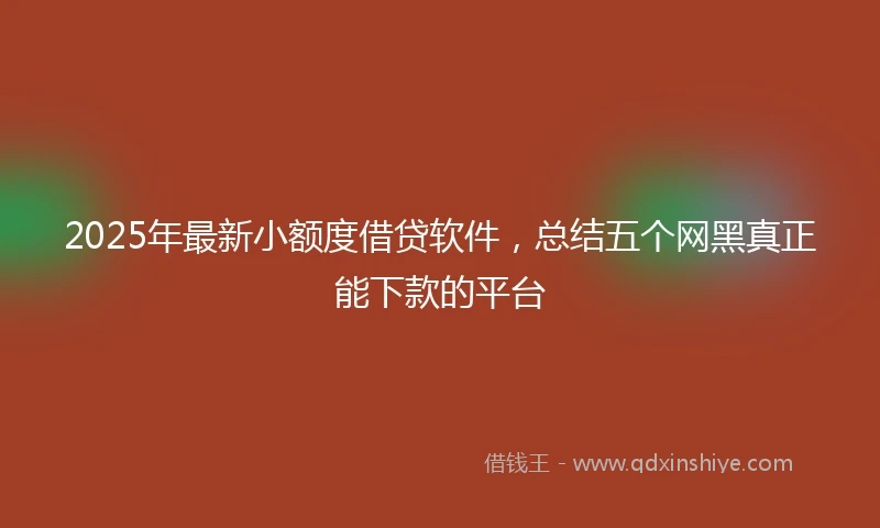 2025年最新小额度借贷软件，总结五个网黑真正能下款的平台