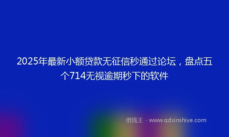 2025年最新小额贷款无征信秒通过论坛，盘点五个714无视逾期秒下的软件