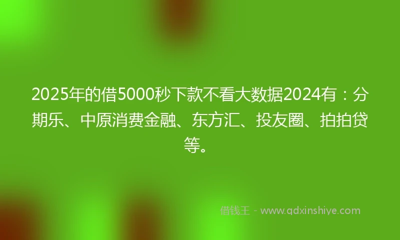 2025年的借5000秒下款不看大数据2024有：分期乐、中原消费金融、东方汇、投友圈、拍拍贷等。