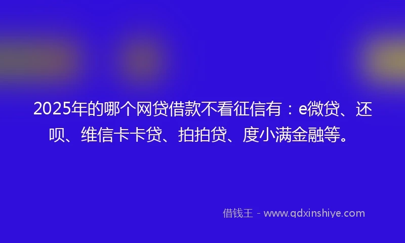 2025年的哪个网贷借款不看征信有：e微贷、还呗、维信卡卡贷、拍拍贷、度小满金融等。