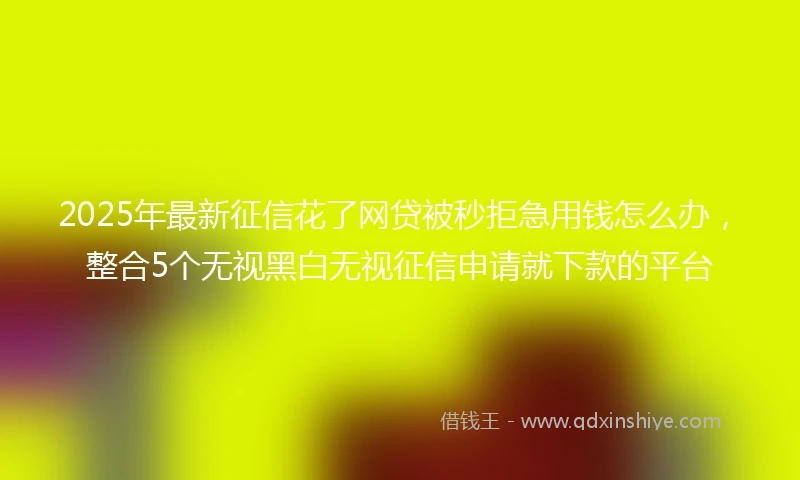 2025年最新征信花了网贷被秒拒急用钱怎么办，整合5个无视黑白无视征信申请就下款的平台