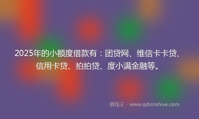 2025年的小额度借款有：团贷网、维信卡卡贷、信用卡贷、拍拍贷、度小满金融等。