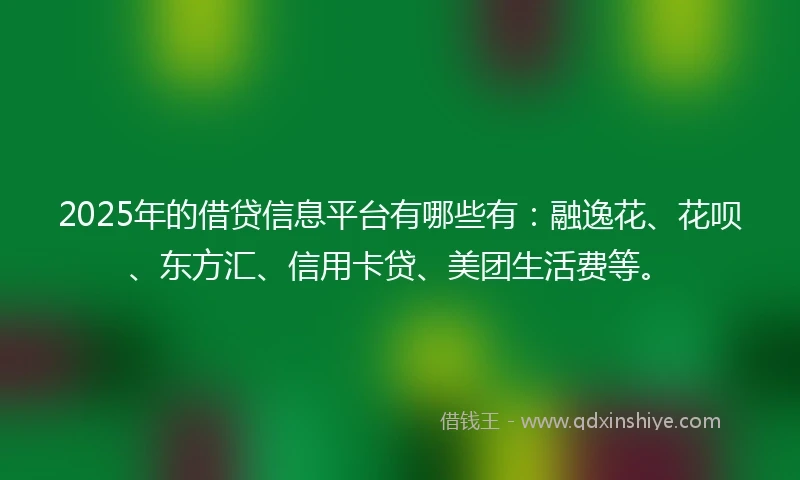 2025年的借贷信息平台有哪些有：融逸花、花呗、东方汇、信用卡贷、美团生活费等。