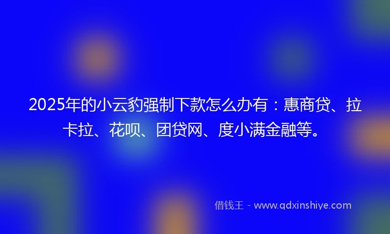 2025年的小云豹强制下款怎么办有：惠商贷、拉卡拉、花呗、团贷网、度小满金融等。