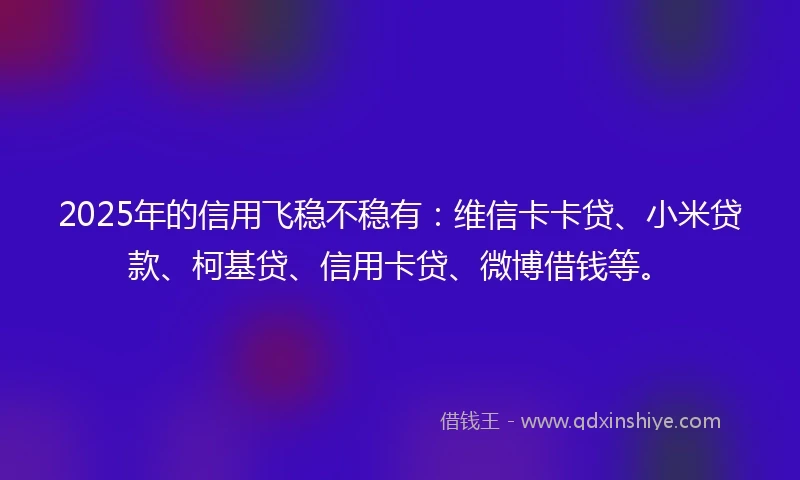 2025年的信用飞稳不稳有：维信卡卡贷、小米贷款、柯基贷、信用卡贷、微博借钱等。