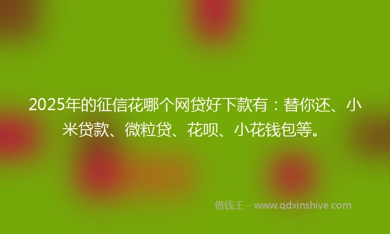 2025年的征信花哪个网贷好下款有：替你还、小米贷款、微粒贷、花呗、小花钱包等。