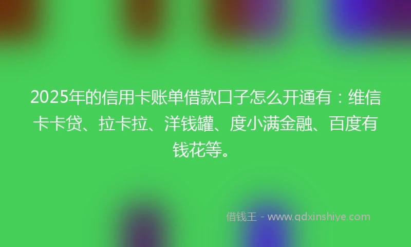 2025年的信用卡账单借款口子怎么开通有：维信卡卡贷、拉卡拉、洋钱罐、度小满金融、百度有钱花等。