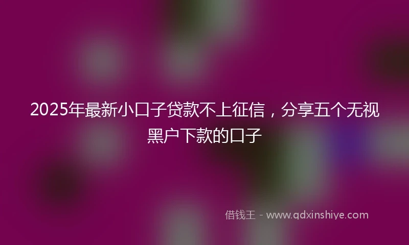 2025年最新小口子贷款不上征信，分享五个无视黑户下款的口子