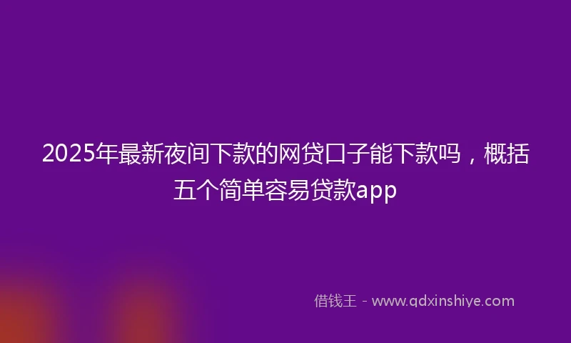 2025年最新夜间下款的网贷口子能下款吗，概括五个简单容易贷款app