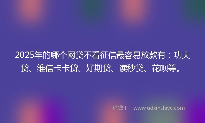 2025年的哪个网贷不看征信最容易放款有：功夫贷、维信卡卡贷、好期贷、读秒贷、花呗等。