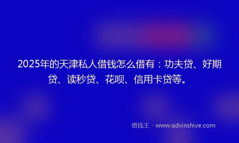 2025年的天津私人借钱怎么借有：功夫贷、好期贷、读秒贷、花呗、信用卡贷等。