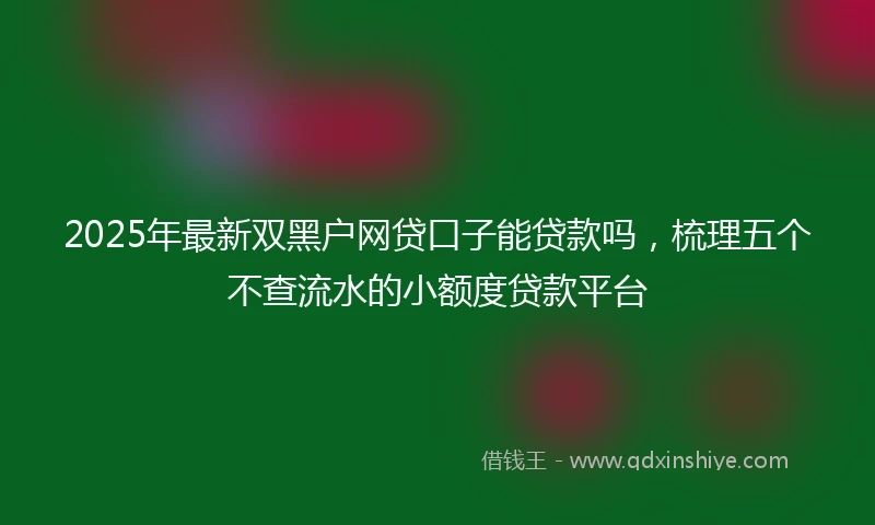 2025年最新双黑户网贷口子能贷款吗，梳理五个不查流水的小额度贷款平台