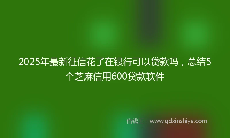 2025年最新征信花了在银行可以贷款吗，总结5个芝麻信用600贷款软件