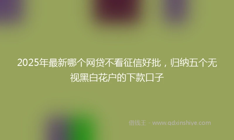 2025年最新哪个网贷不看征信好批，归纳五个无视黑白花户的下款口子