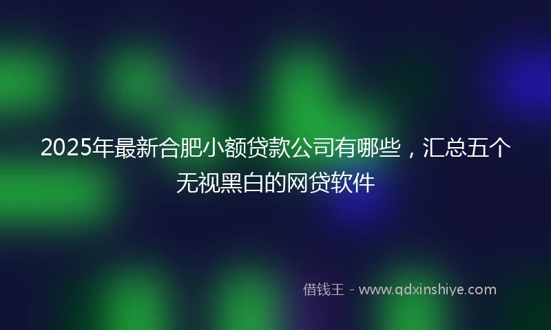 2025年最新合肥小额贷款公司有哪些，汇总五个无视黑白的网贷软件